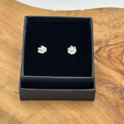 Discover the captivating allure of sparkling daisy stud earrings nestled in a sophisticated black jewelry box.
